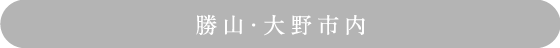 勝山・大野市内